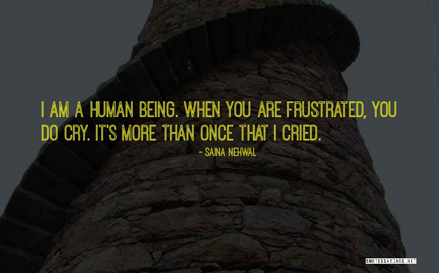 Being Reconciled Quotes By Saina Nehwal Being Reconciled Quotes By Saina Nehwal