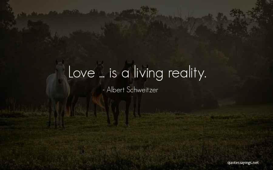 Being Rejected For A Job Quotes By Albert Schweitzer Being Rejected For A Job Quotes By Albert Schweitzer