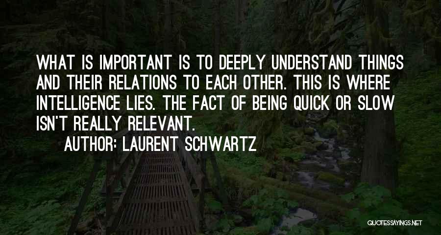 Being Relevant Quotes By Laurent Schwartz