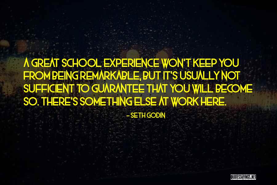 Being Remarkable Quotes By Seth Godin Being Remarkable Quotes By Seth Godin