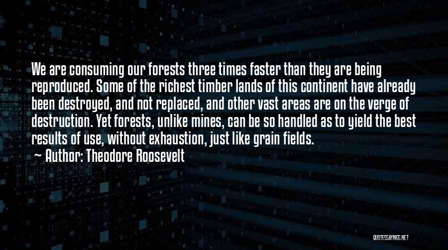 Being Replaced Quotes By Theodore Roosevelt