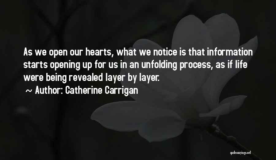 Being Revealed Quotes By Catherine Carrigan
