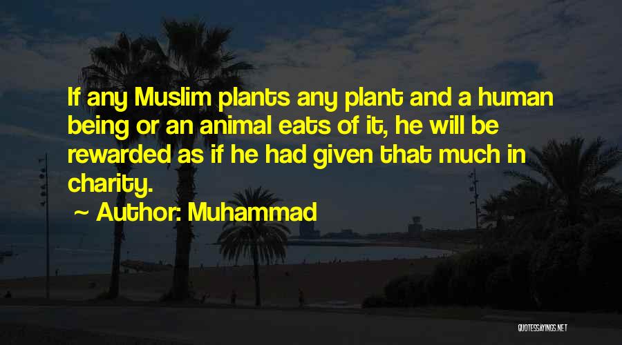 Being Rewarded Quotes By Muhammad