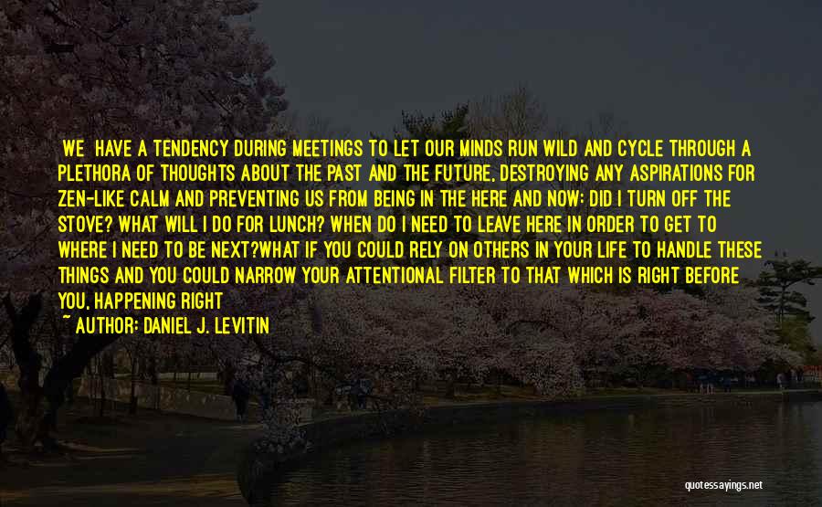 Being Right Here Quotes By Daniel J. Levitin