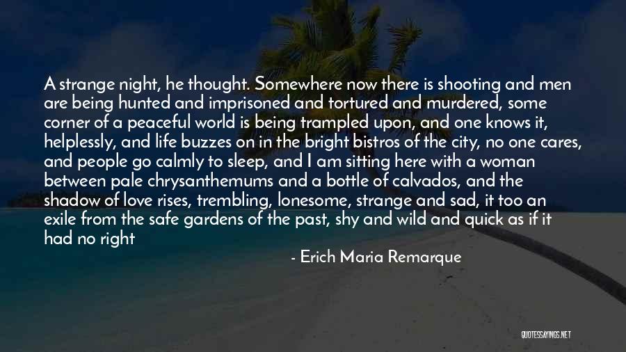 Being Right Here Quotes By Erich Maria Remarque