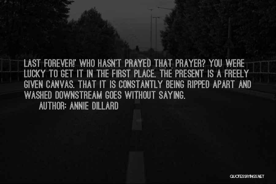 Being Ripped Apart Quotes By Annie Dillard