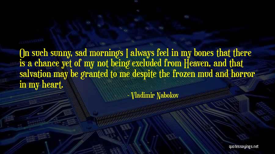 Being Sad Quotes By Vladimir Nabokov