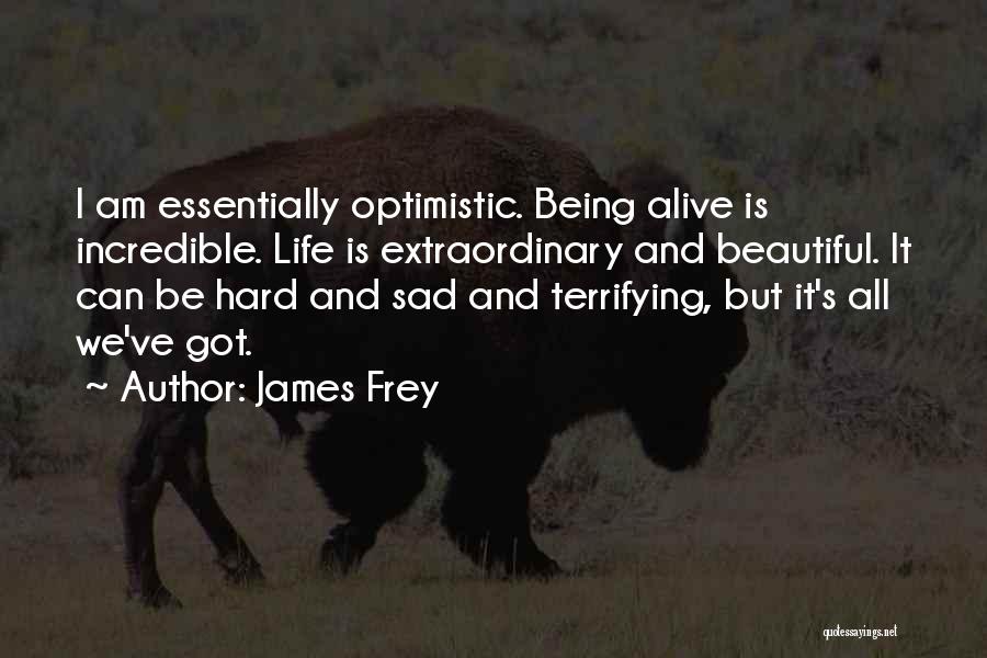 Being Sad With Life Quotes By James Frey