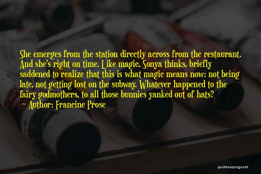 Being Saddened Quotes By Francine Prose