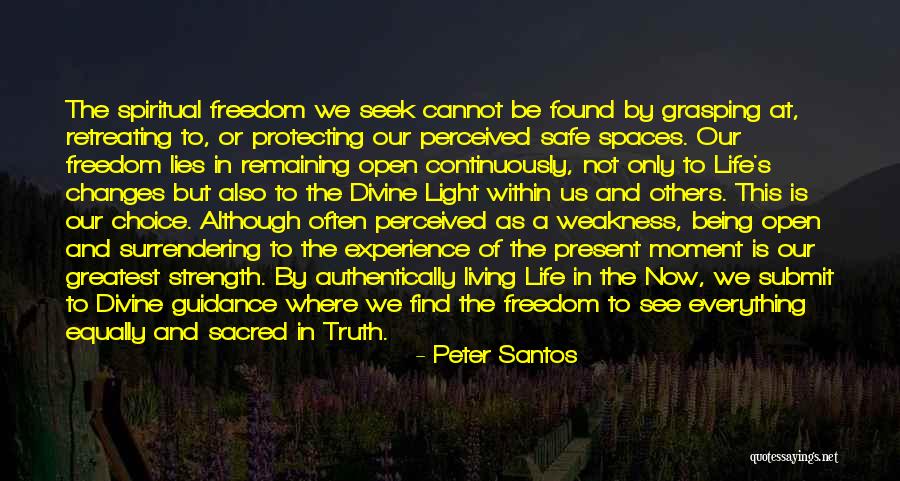 Being Safe Quotes By Peter Santos