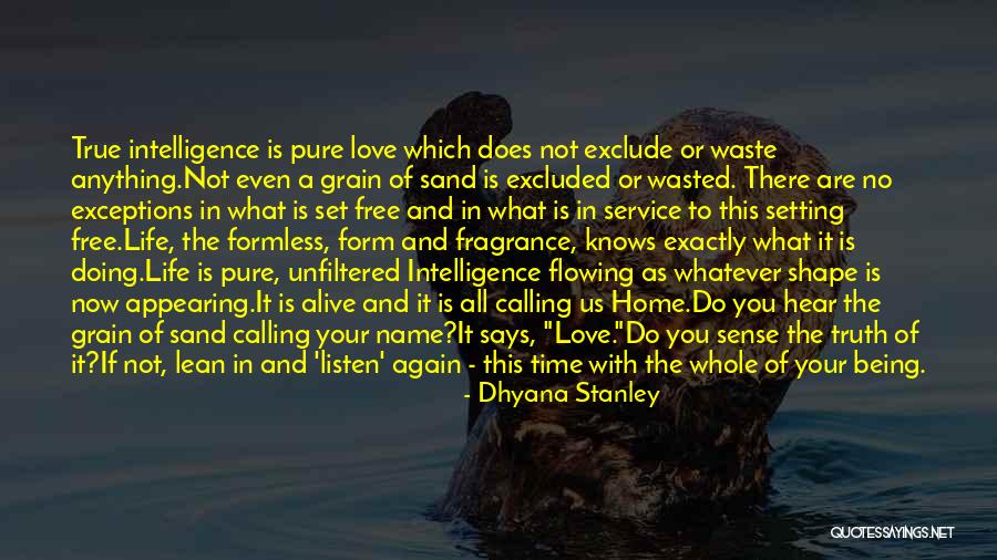 Being Sand Quotes By Dhyana Stanley Being Sand Quotes By Dhyana Stanley