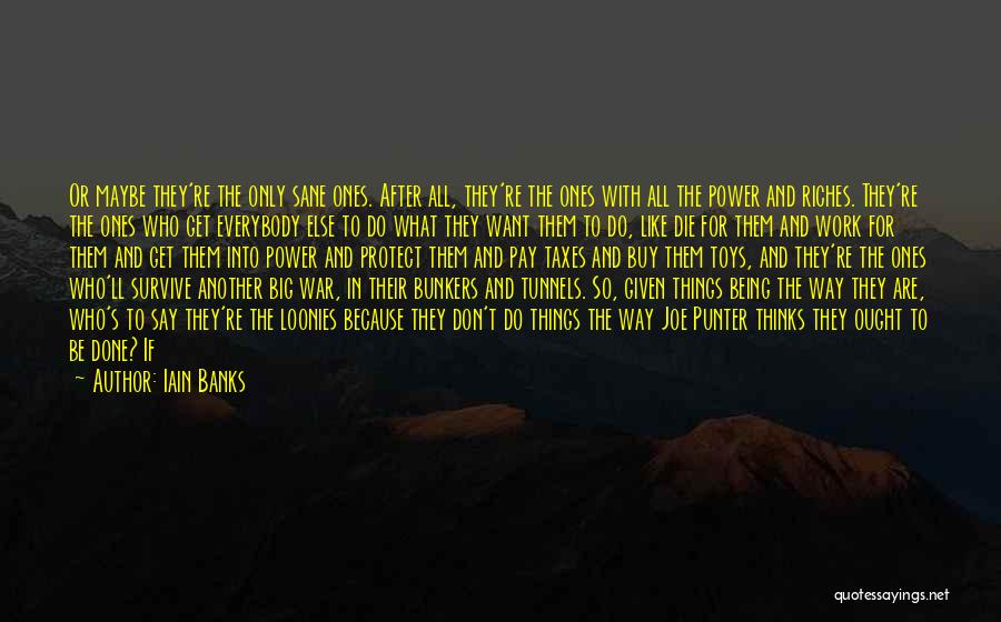 Being Sane Quotes By Iain Banks