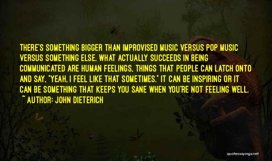 Being Sane Quotes By John Dieterich