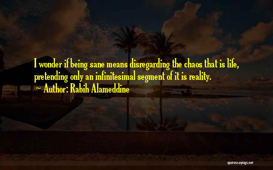 Being Sane Quotes By Rabih Alameddine