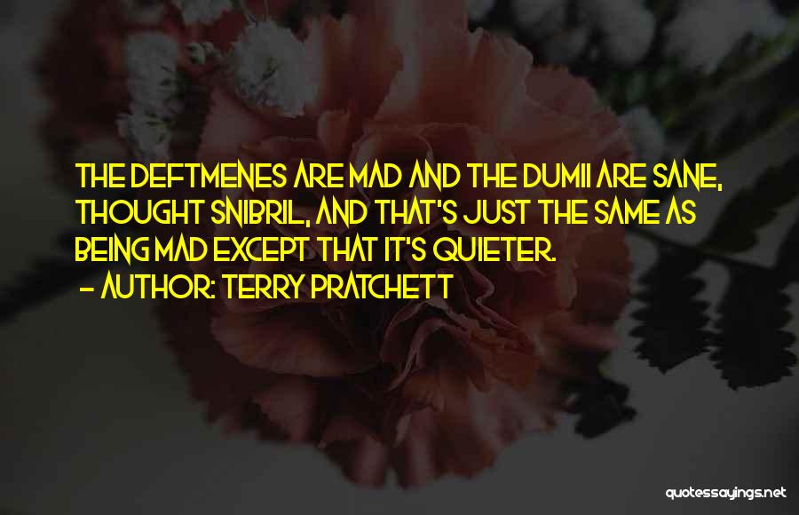 Being Sane Quotes By Terry Pratchett