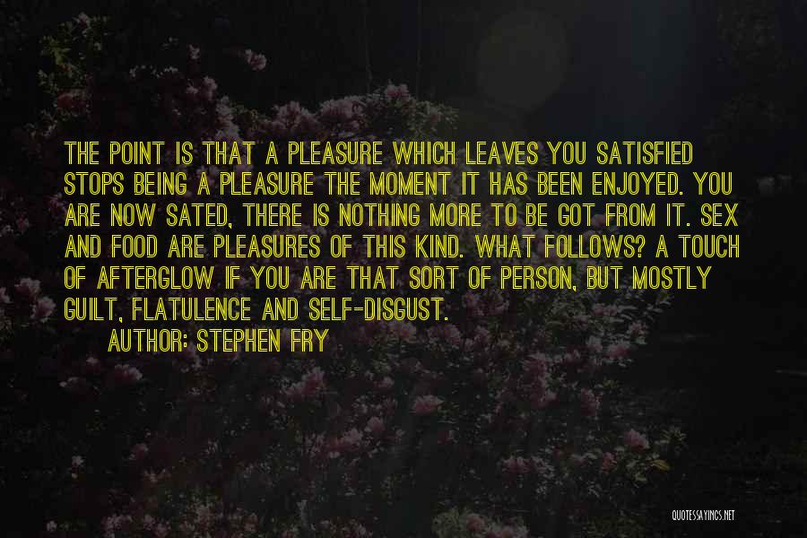 Being Satisfied With Yourself Quotes By Stephen Fry