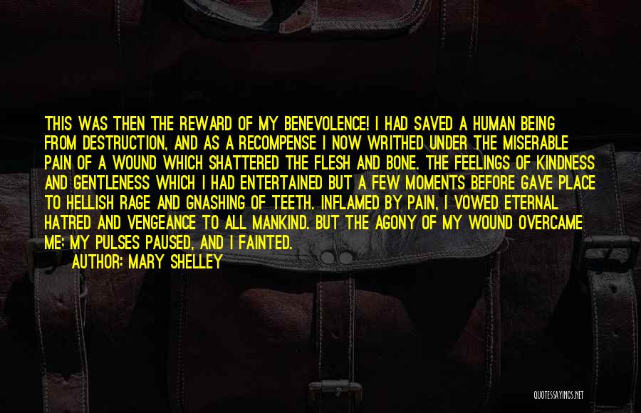 Being Saved Quotes By Mary Shelley