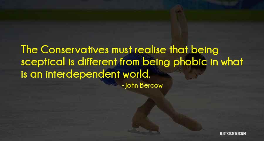Being Sceptical Quotes By John Bercow Being Sceptical Quotes By John Bercow