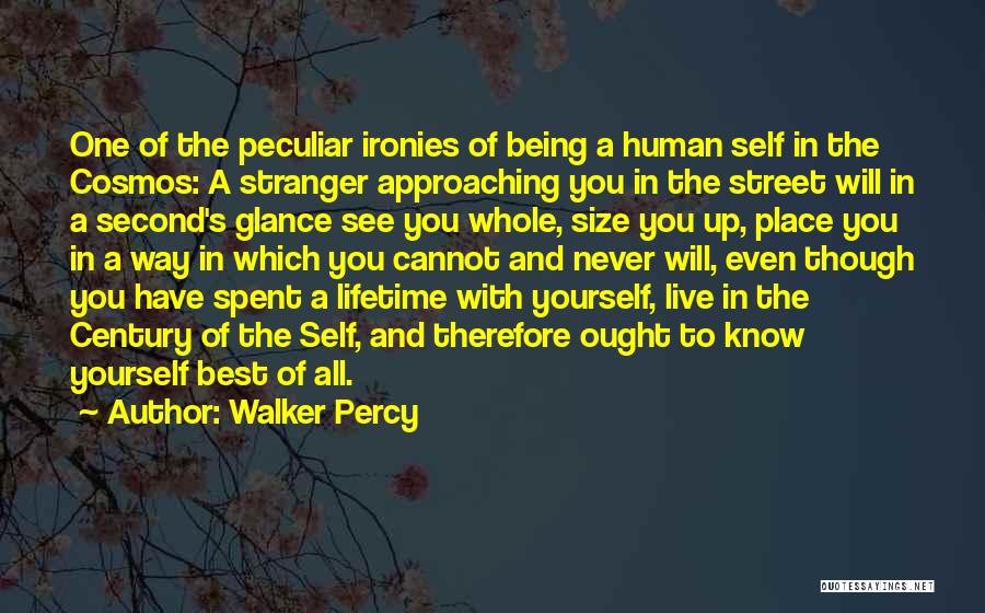 Being Second Best Quotes By Walker Percy