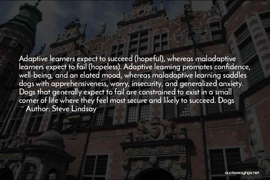 Being Secure In Life Quotes By Steve Lindsay