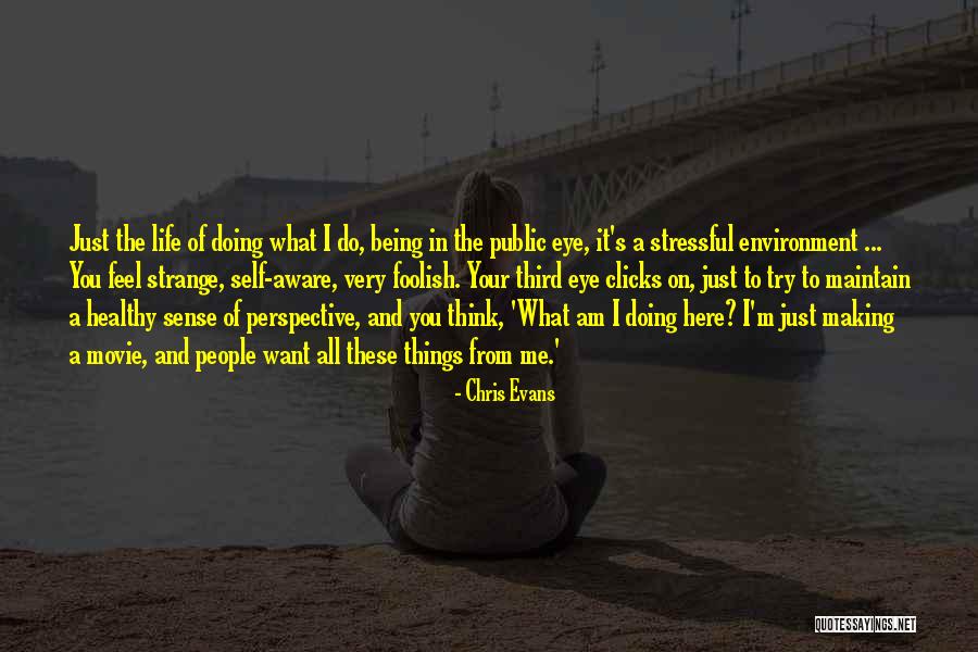 Being Self Aware Quotes By Chris Evans Being Self Aware Quotes By Chris Evans
