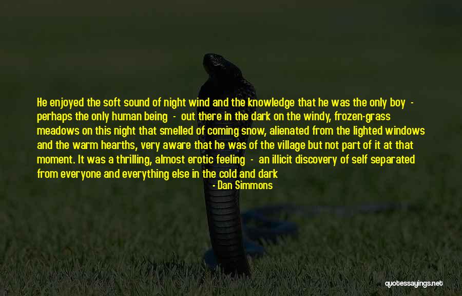 Being Self Aware Quotes By Dan Simmons Being Self Aware Quotes By Dan Simmons