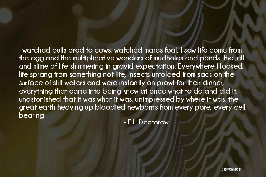 Being Self Contained Quotes By E.L. Doctorow Being Self Contained Quotes By E.L. Doctorow