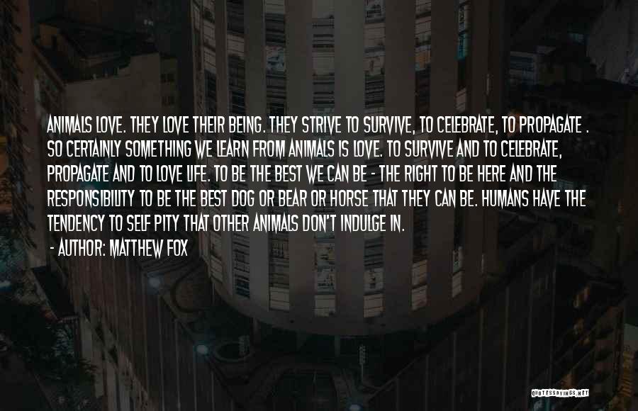 Being Self Pity Quotes By Matthew Fox