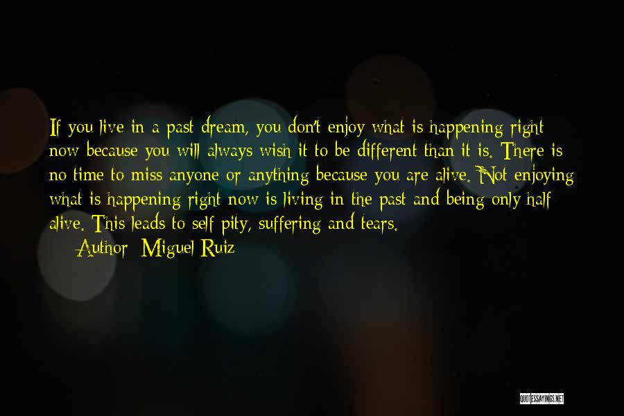 Being Self Pity Quotes By Miguel Ruiz