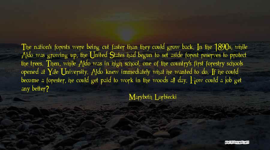 Being Set Aside Quotes By Marybeth Lorbiecki Being Set Aside Quotes By Marybeth Lorbiecki
