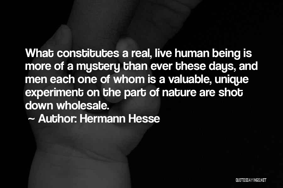 Being Shot Quotes By Hermann Hesse