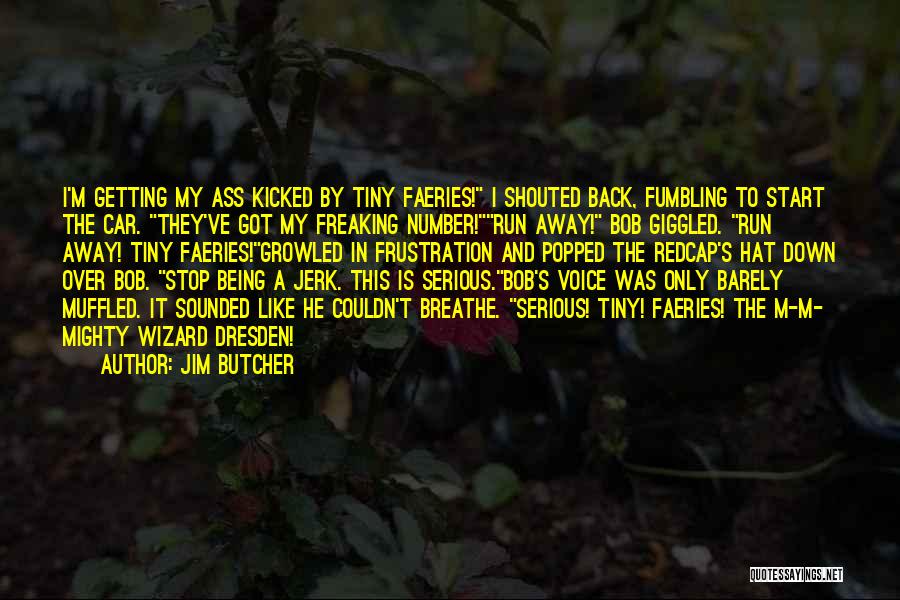 Being Shouted At Quotes By Jim Butcher