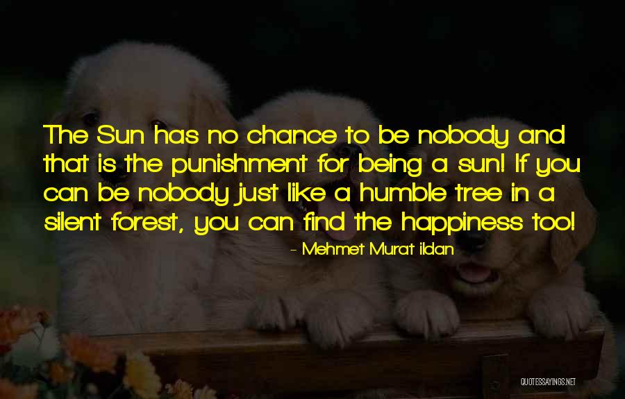 Being Silent And Humble Quotes By Mehmet Murat Ildan