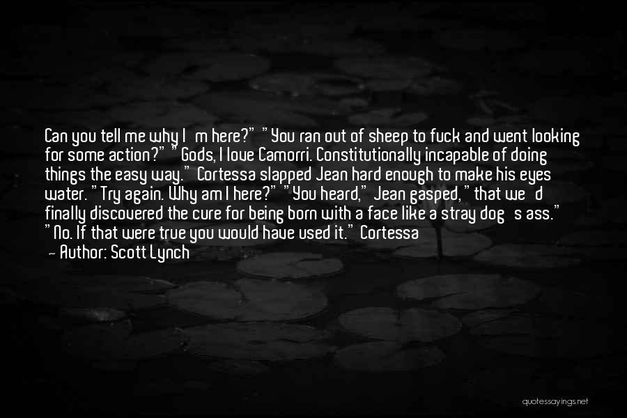 Being Slapped Quotes By Scott Lynch