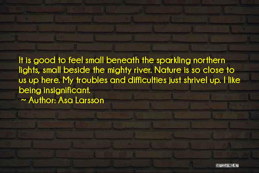 Being Small But Mighty Quotes By Asa Larsson