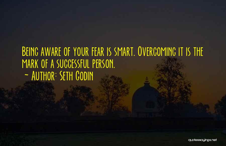 Being Smart And Successful Quotes By Seth Godin