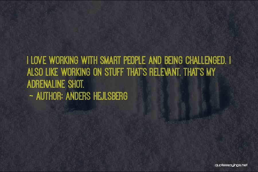 Being Smart In Love Quotes By Anders Hejlsberg