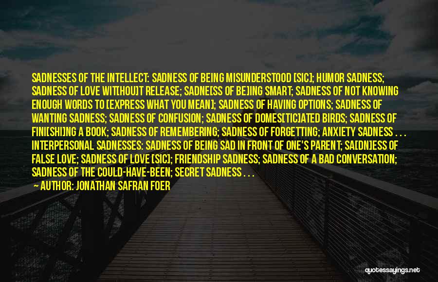 Being Smart In Love Quotes By Jonathan Safran Foer