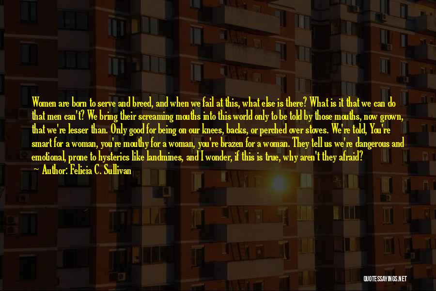 Being Smart Woman Quotes By Felicia C. Sullivan