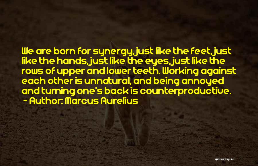 Being So Annoyed Quotes By Marcus Aurelius