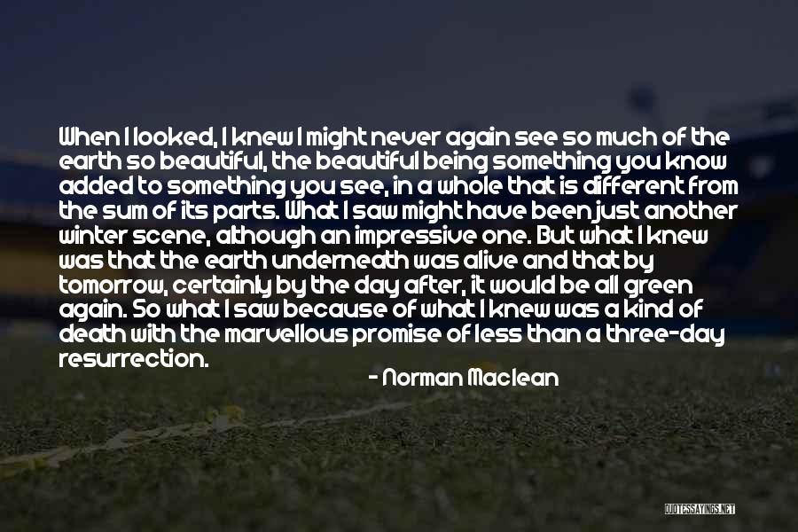 Being So Kind Quotes By Norman Maclean Being So Kind Quotes By Norman Maclean