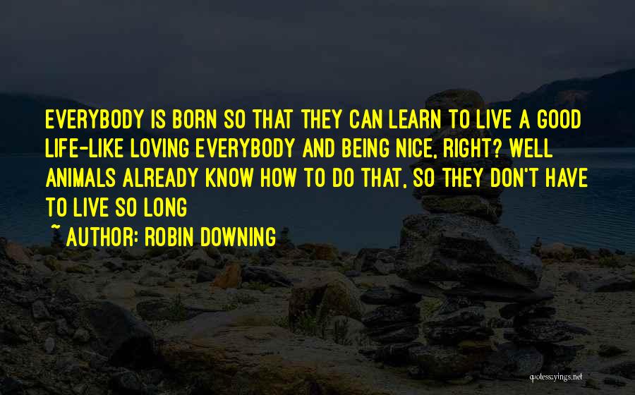 Being So Nice Quotes By Robin Downing