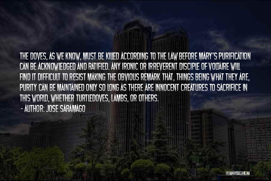 Being So Obvious Quotes By Jose Saramago