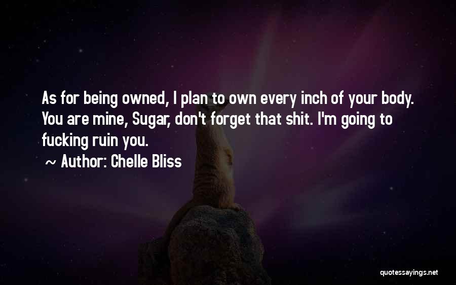 Being Someone's Plan B Quotes By Chelle Bliss