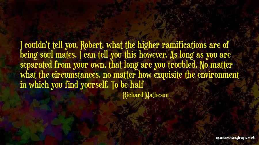 Being Soul Mates Quotes By Richard Matheson Being Soul Mates Quotes By Richard Matheson