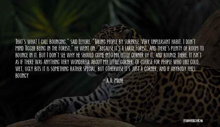 Being Special Quotes By A.A. Milne