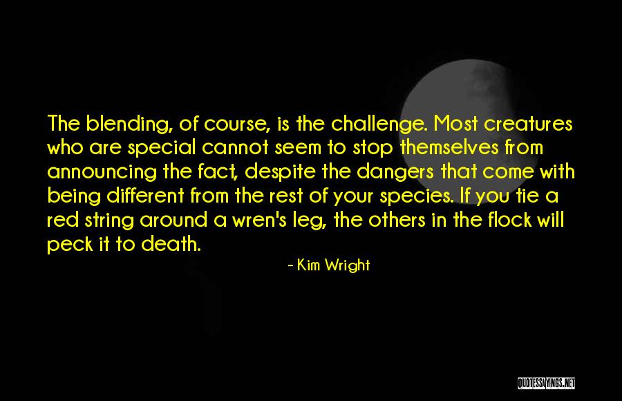 Being Special Quotes By Kim Wright