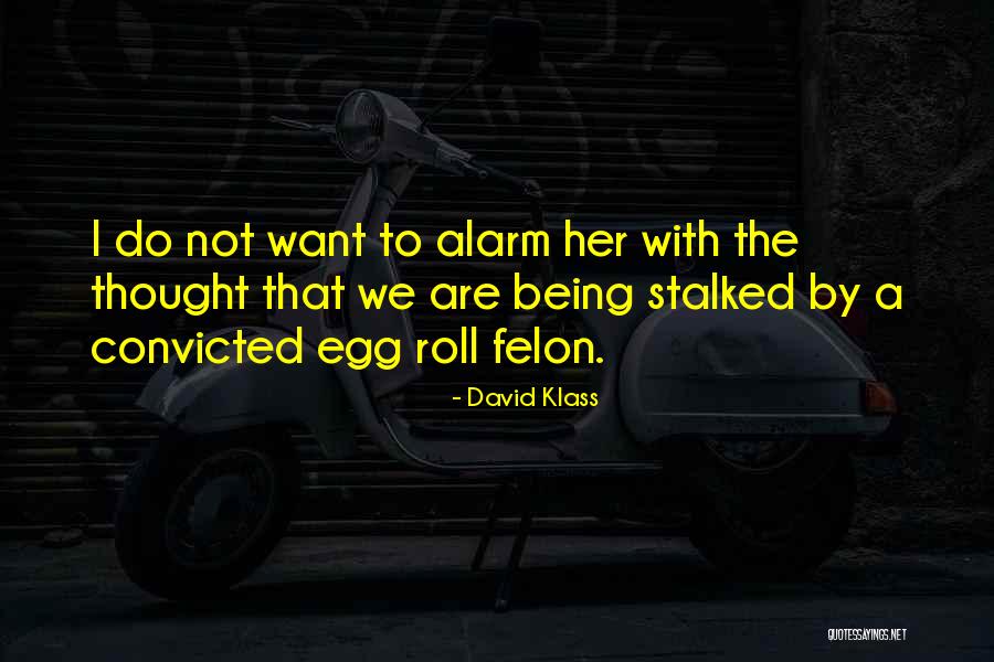 Being Stalked Quotes By David Klass Being Stalked Quotes By David Klass