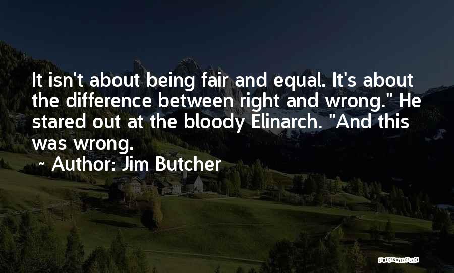 Being Stared At Quotes By Jim Butcher