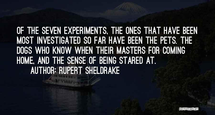 Being Stared At Quotes By Rupert Sheldrake